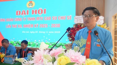 O Sr. Bui Duy Doc foi reeleito Presidente do Sindicato dos Trabalhadores da Borracha de Chu Se.