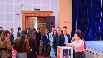 ہنوئی یونیورسٹی اور کالج پارٹی کمیٹی قدرتی آفات پر قابو پانے کے لیے لوگوں کی مدد کرتی ہے۔