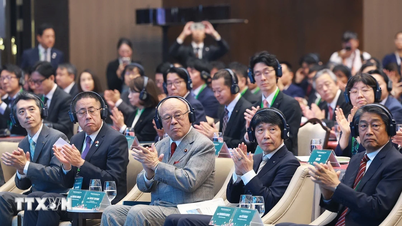 Η τοπική συνεργασία αποτελεί ένα φωτεινό σημείο στις σχέσεις Βιετνάμ-Ιαπωνίας