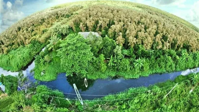 Karbon piyasası: Vietnam'ın yeşil kalkınmaya "kapı açması" için harika bir fırsat