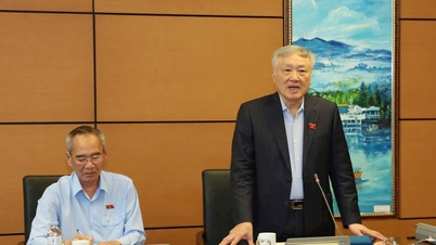 รองนายกรัฐมนตรีถาวรเหงียนฮวาบิ่ญ: เราต้องเอาชนะสถานการณ์ "นโยบายถูกต้องแต่การนำไปปฏิบัติมีปัญหา"