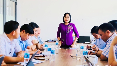 Liderii provinciali inspectează lucrările de prevenire a dezastrelor în comunele Phu Vinh și Phu Hoa.