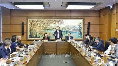 موثر نفاذ کے لیے 'نیشنل ٹارگٹ پروگرام' کے معنی واضح کریں۔