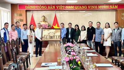 ایک گیانگ نے Oc Eo - Ba The World Heritage Site کے لیے نامزدگی کا دستاویز مکمل کرنے کے لیے Quang Ninh کے تجربے سے سیکھا۔