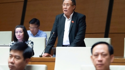 가짜 뉴스를 제한하고 국민의 신뢰를 강화하기 위해 언론에 정보를 제공하는 데 느린 국가 기관에 대한 구체적인 제재를 추가하는 것을 제안합니다.