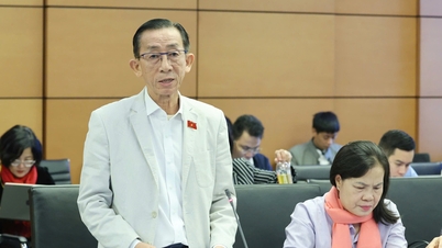 Delegații au propus alocarea de resurse adecvate pentru restaurarea urgentă a școlilor din zonele afectate de inundații.