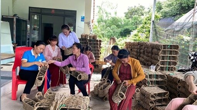 ڈیجیٹل دور اور Tay Ninh میں صنفی مساوات کو فروغ دینے کی ضرورت