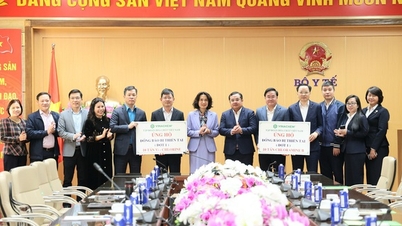 The Ministry of Health received 20 tons of chemicals to support localities in the Central and Central Highlands regions to overcome the consequences of floods.