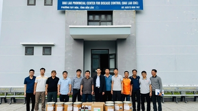 El Instituto de Higiene y Epidemiología de las Tierras Altas Centrales apoya urgentemente a Dak Lak en la prevención de enfermedades después de tormentas e inundaciones.