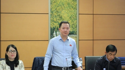 Kriteria yang jelas, utamakan sumber pelaburan untuk pendidikan