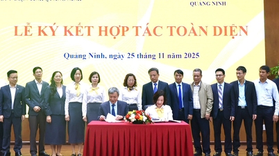 Почтовое отделение провинции Куангнинь и лотерейная компания Quang Ninh Lottery Company Limited подписали соглашение о всеобъемлющем сотрудничестве