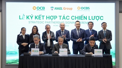 OCB, OCBS та Hoang Anh Gia Lai підписали угоду про стратегічну співпрацю