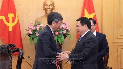 ভিয়েতনাম-ভারত বিস্তৃত কৌশলগত অংশীদারিত্বের ১০ বছরের পর্যালোচনা