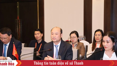 থান হোয়া ভিয়েতনামে যোগদান করেছেন - জাপান স্থানীয় সহযোগিতা ফোরাম