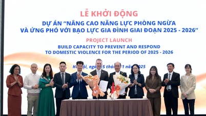 가정폭력 예방 및 통제를 위한 전국 핫라인 구축 및 운영