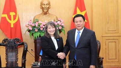 Vietnam'ın Tanıtımı - UNICEF'in çocuk haklarına ilişkin politika araştırmalarında iş birliği