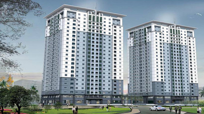 Ketua Komite Rakyat Provinsi Bac Ninh memerintahkan Departemen Konstruksi untuk mengambil alih penanganan perantara ilegal dan penjualan ilegal perumahan sosial.