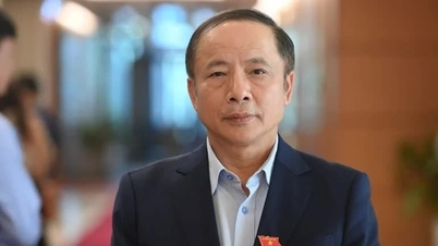 Доктора Нгуєна Ван Тана було обрано президентом В'єтнамської асоціації класичної музики.