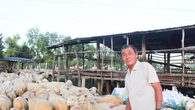 Lam Dong hat sich zum Ziel gesetzt, eine moderne, sichere und nachhaltige Tierhaltung zu entwickeln.