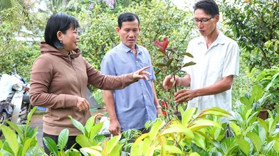 Egy Truong a társadalmi-gazdasági fejlődésre összpontosít