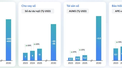Η ψηφιακή οικονομία του Βιετνάμ θα σημειώσει ισχυρή πρόοδο το 2025