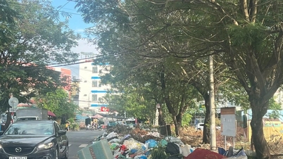 Đà Nẵng tăng cường xử lý hành vi đổ rác, giá hạ, xà bần gây ô nhiễm môi trường