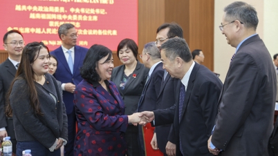 Het promoten van de resultaten van het Vietnam-China Volksforum, het consolideren van de hechte vriendschap