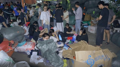 شهر هوشی مین بیش از 60 میلیارد دونگ ویتنام و نزدیک به 3000 تن کالا برای حمایت از منطقه مرکزی اهدا کرد.