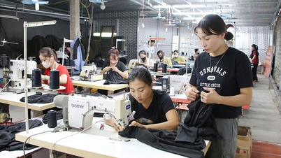 Dai Son membangkitkan kekuatan batin, membantu orang menjadi kaya tepat di tanah air mereka