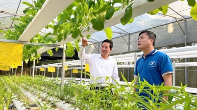 Розблокування потоку зеленого фінансування в сільське господарство