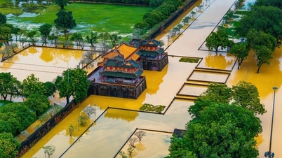 Thách thức bảo tồn di sản trước thiên tai từ vụ sập tường Hoàng thành Huế