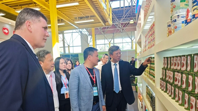 "Vietnamdagen" på den 41:a internationella mässan i Havanna