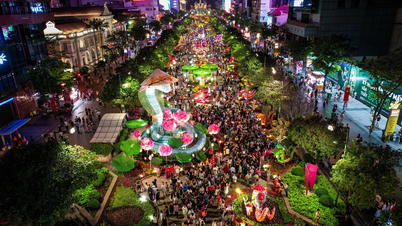 Květinová ulice Nguyen Hue u příležitosti Roku koně přivítá návštěvníky po dobu 8 dnů.