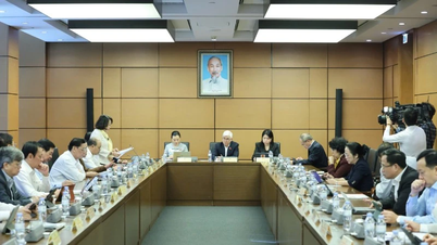 Consider a suitable roadmap for the goal of making English a second language