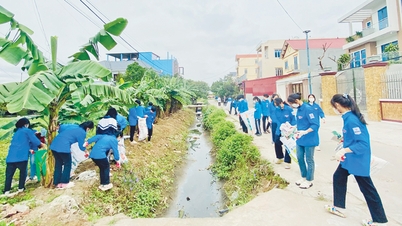 Рух «Зелена неділя»: Зробити кожну сільську місцевість яскравою, зеленою, чистою та красивою