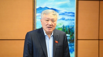 Deputy Prime Minister: Do not allow non-specialized universities to train in certain fields