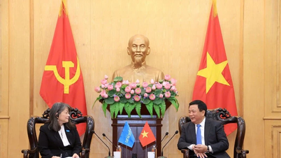 کودکان محور اصلی توسعه همه جانبه و پایدار کشور هستند.