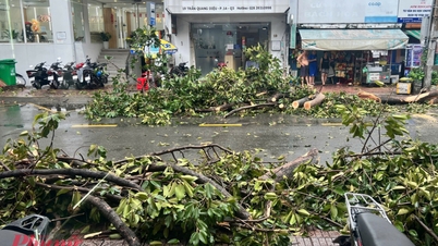Ho Chi Minhstad reageert proactief op tropische depressie die kan uitgroeien tot storm nr. 15