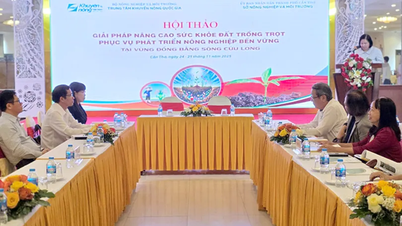 Améliorer la santé des sols pour une agriculture durable