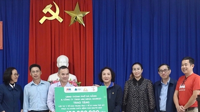 दा नांग शहर के नेताओं ने पहाड़ी इलाकों में चिकित्सा सहायता प्रदान की