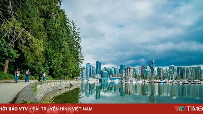 Stanley Park - Bisikan antara pokok dan air