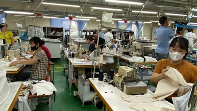 پیش‌بینی می‌شود صادرات نساجی و پوشاک ویتنام در سال ۲۰۲۵ به ۴۶ میلیارد دلار برسد.