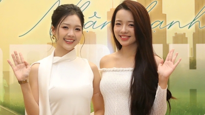 Tien Phong Half Marathon 2025 launches 'Green Journey'