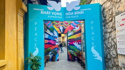 إعادة إحياء الروح البطولية لديان بيان فو في الهواء من خلال معرض "التطلع إلى السلام"