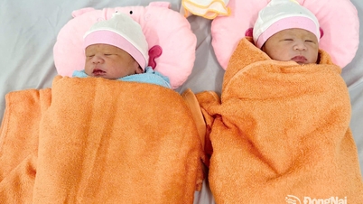 W Regionalnym Centrum Medycznym Xuan Loc przeprowadzono pierwsze udane cesarskie cięcie bliźniaków