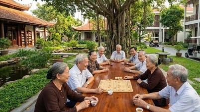 La necesidad de atención a las personas mayores en Vietnam aumentará drásticamente en los próximos 10 años.
