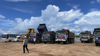 Collecte de centaines d'hectares de terres salées pour la construction du parc industriel Trung Nam - Ca Na