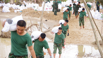 第573旅団（第5軍管区）がジャライの堤防強化を支援