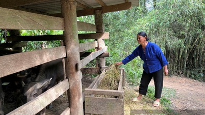 کاهش پایدار فقر در لانگ سون، از سیاست‌های حمایتی تا زندگی مرفه