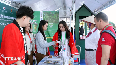 Vietnami-Japán Kiállítás: A kultúra összekapcsolása, a helyi együttműködés előmozdítása